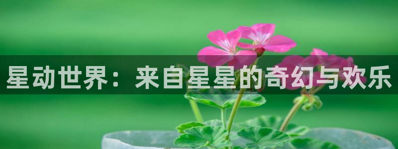 天官赐福樱花动漫网