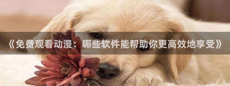 樱花动漫专注动漫的门户网站的进击的巨人