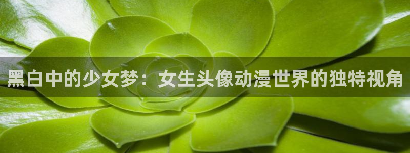 竞女樱花动漫