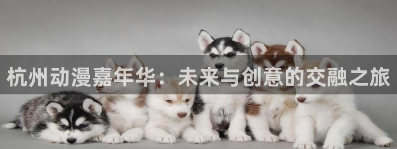 八犬传第一季樱花动漫