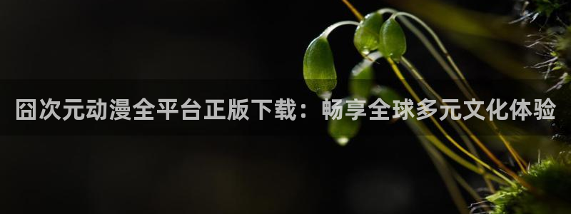 15美少女漂流记樱花动漫