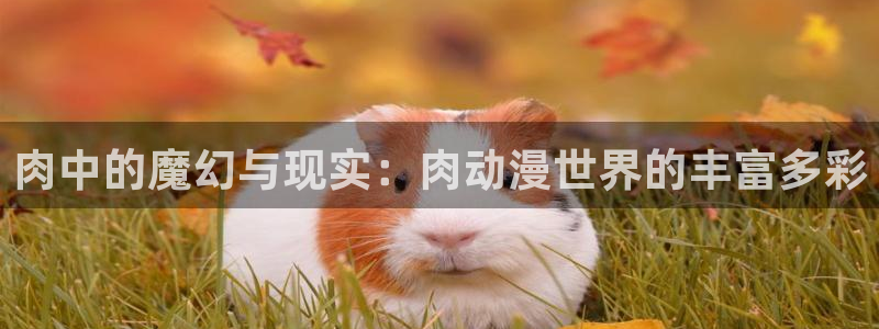 名侦探柯南免费樱花动漫：肉中的魔幻与现实：肉动漫世界的丰富多彩