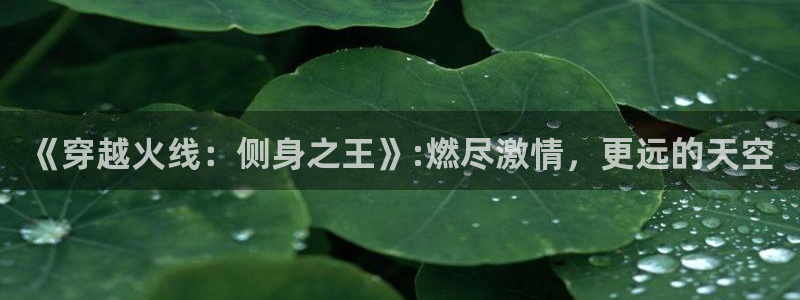 圣杯之战樱花动漫：《穿越火线：侧身之王》:燃尽激情，更远的天空