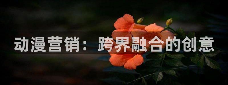 动漫推荐樱花动漫